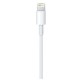 Apple USB-C - Lightning Kablosu Apple USB-C - Lightning Kablosu